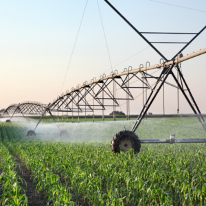 Irrigation